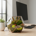 Geometric glass terrarium filled with preserved moss and ferns on a modern desk